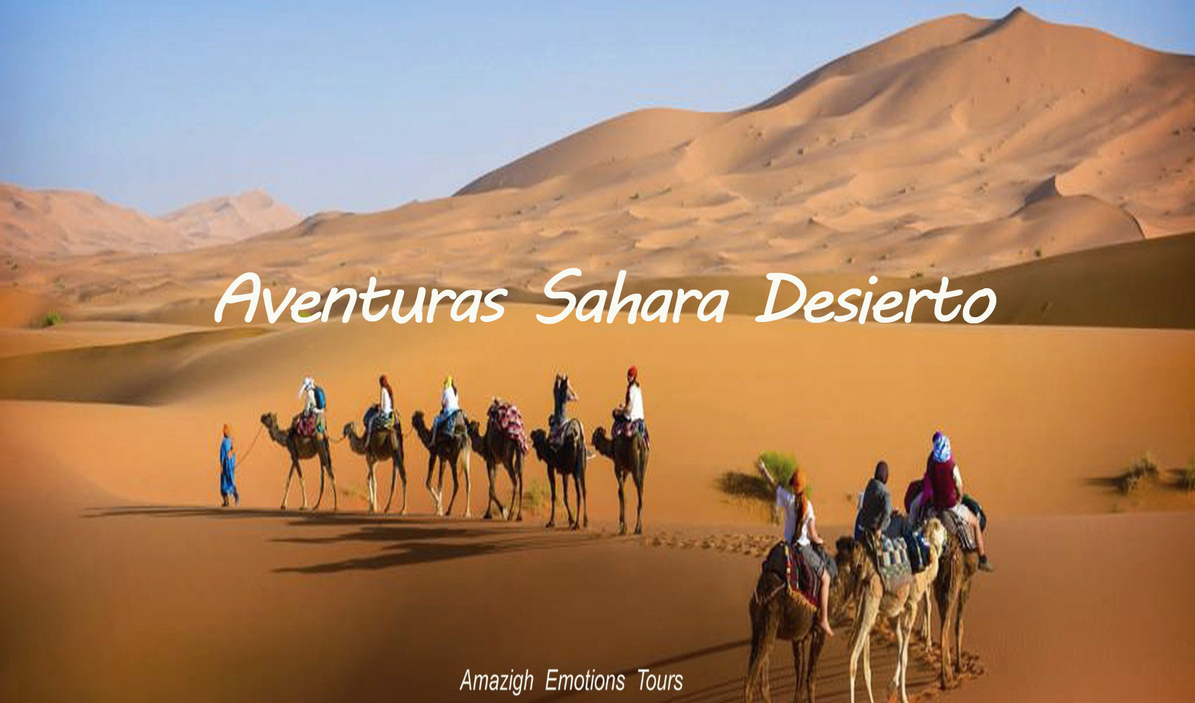 morocco trips