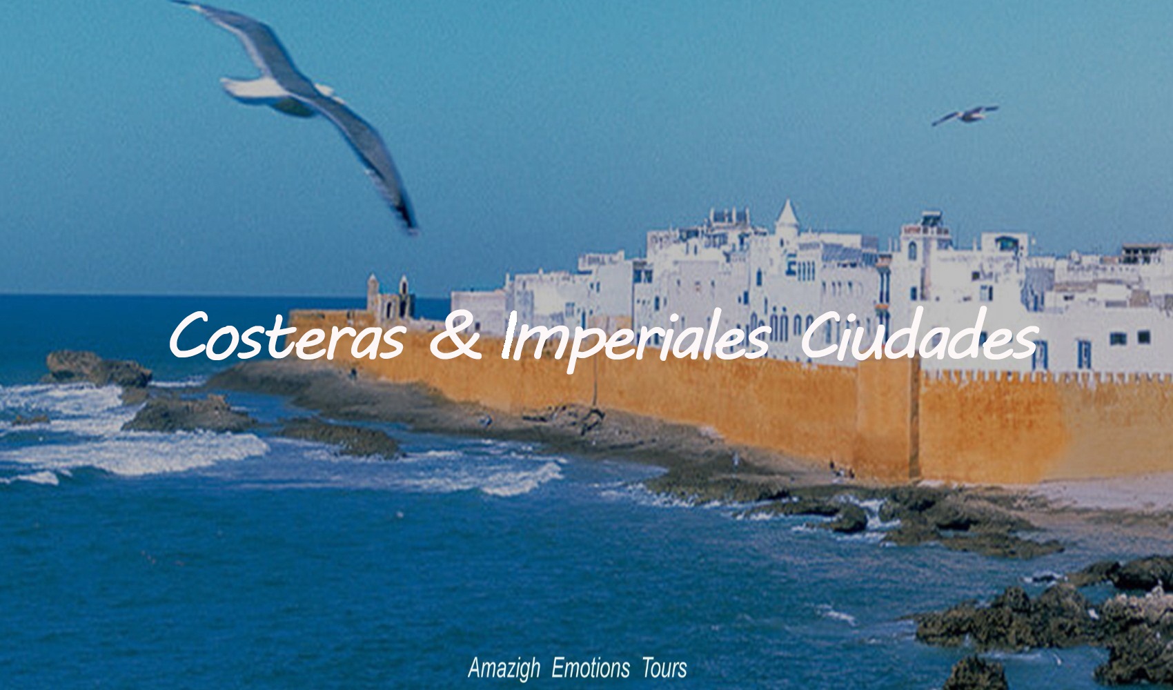 morocco trips