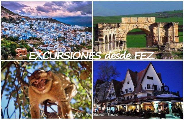 morocco trips